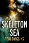 [Forensic Geology 04] • Skeleton Sea